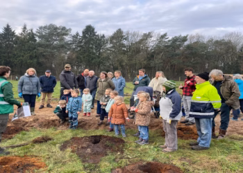 De provincie Antwerpen is 27,8 hectare bos rijker sinds oktober 2025