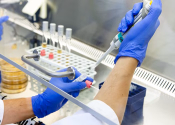 Levende bacteriën zijn duurzaam alternatief voor antibiotica