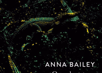 Onze laatste wilde dagen van Anna Balley