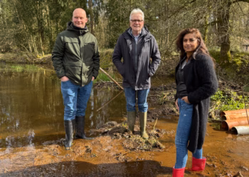 Provincie Antwerpen vraagt meer duidelijkheid rond aanpak van bevers in Vlaanderen