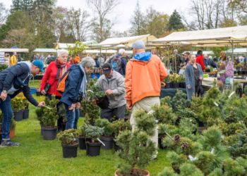 Shopplezier op Plantendag bij de beste kwekers