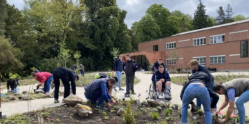 Inheemse planten verbinden onderwijs, wetenschap en natuur: een unieke samenwerking voor meer biodiversiteit