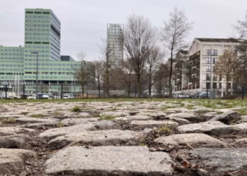 District Antwerpen vergroot en vergroent hondenloopzone aan Binnenvaartstraat