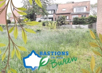Een moestuin, natuurlijke speelplek of ontmoetingsplaats? Kom naar de buurtbabbel in Borsbeek op 29/06 en deel je ideeën