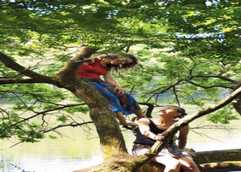 Duo-expo ‘Trees Like Us’ in het Vrijbroekpark