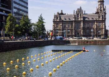 Tijdelijke sluiting ’t ZwemDok wegens onvoldoende waterkwaliteit
