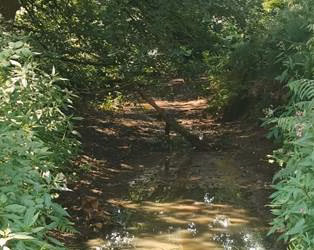 Uitbreiding tijdelijk onttrekkingsverbod voor onbevaarbare waterlopen