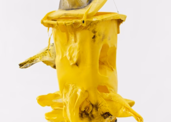 Anita Molinero Sculpture is not dead