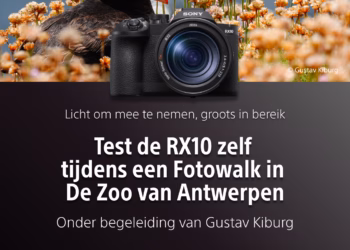 Ontdek de Sony RX10 V tijdens een exclusieve fotowalk in ZOO Antwerpen met Foto Grobet!