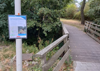 Provincie plaatst beekdrempels als maatregel tegen de verdroging van de Hollebeek