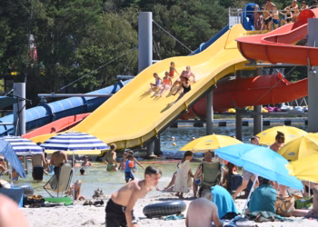 Recordzomer in de provinciale domeinen