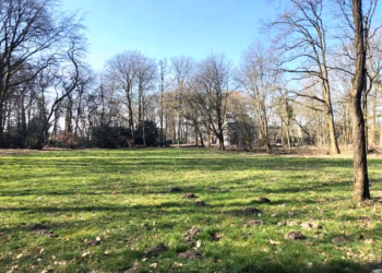 Stichting Kempens Landschap en gemeente Vosselaar zoeken groene vrijwilligers voor ’t Hof