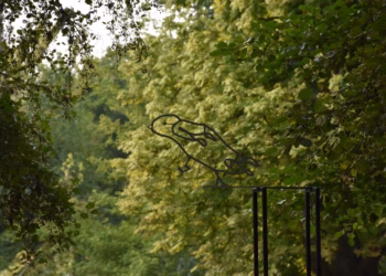 Via strijkt neer in het Rivierenhof
