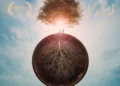 Eat More Trees – Documentary