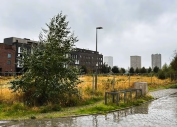Stad Antwerpen start project voor coöperatief wonen in Cadixwijk