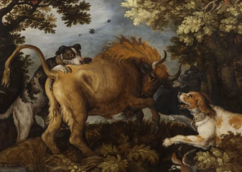 Abby brengt Roelant Savery in dialoog met de kunst en het klimaat van vandaag
