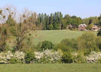 Hoe kunnen bomen en struiken helpen om onze landschappen leefbaar te houden?