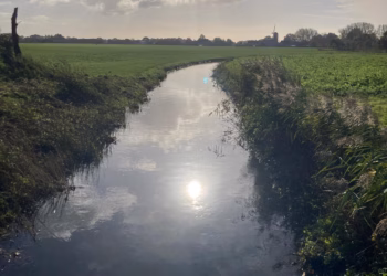 Opheffing van tijdelijk onttrekkingsverbod voor alle onbevaarbare waterlopen in provincie Antwerpen