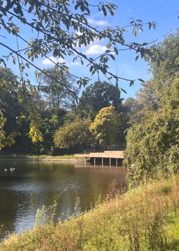 Ponton Stadsparkvijver feestelijk ingehuldigd
